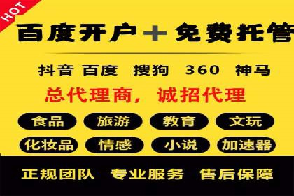 SEM竞价代运营公司经典案例解析